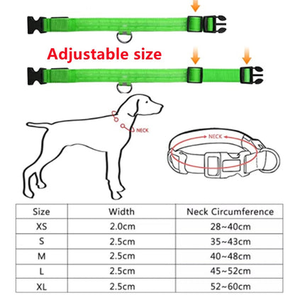 Glow-in-the-Dark Pet Collar