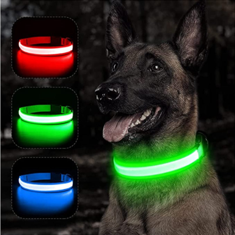 Glow-in-the-Dark Pet Collar