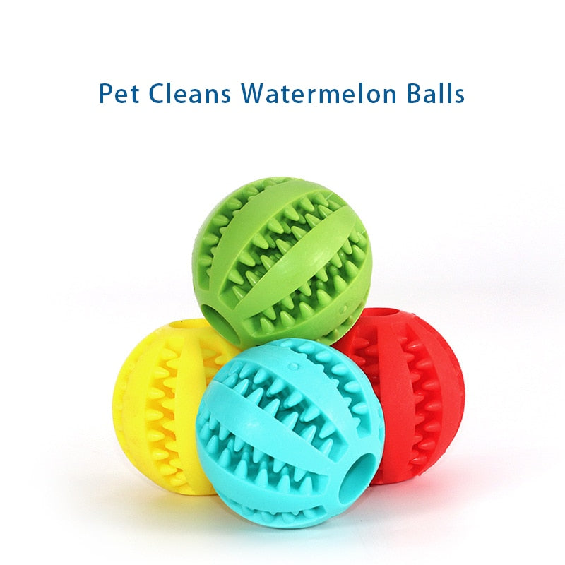 Pet Chew Ball Interactive